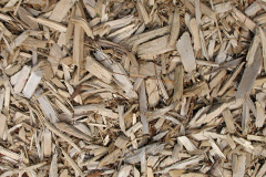 biomass boilers Pantperthog