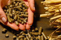 free Pantperthog biomass boiler quotes