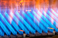 Pantperthog gas fired boilers